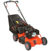 Ariens Company 911173 Push Mower, 21