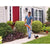 BLACK+DECKER LST201 20V MAX Lithium Ion String Trimmer/Edger, 10