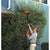 BLACK+DECKER LPHT120B Bare Max Lithium Ion Pole Hedge Trimmer, 20-Volt